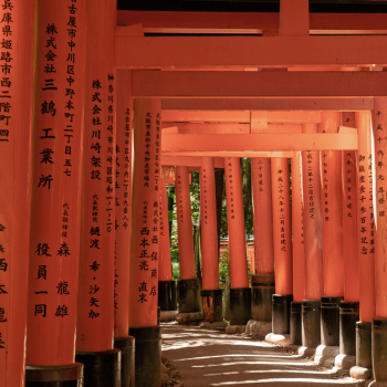 Fushimi-Inari-taisha Excursión a Fushimi Inari y Nara