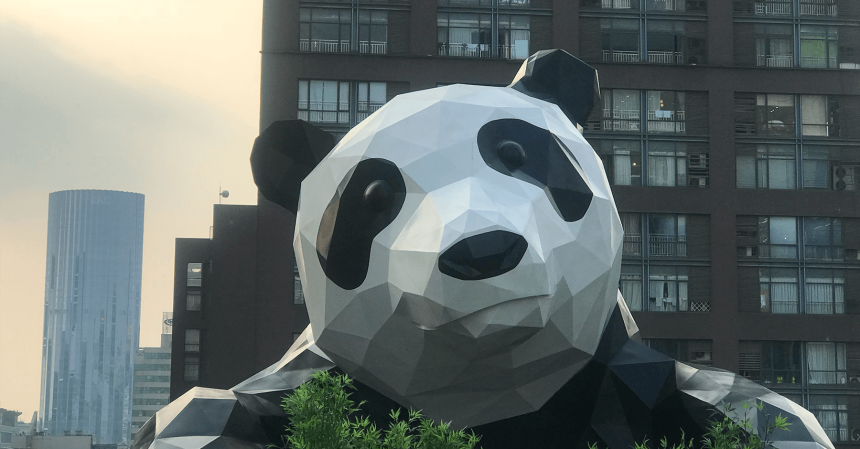 chengdu-panda ¿Qué ver y hacer en Chengdú?