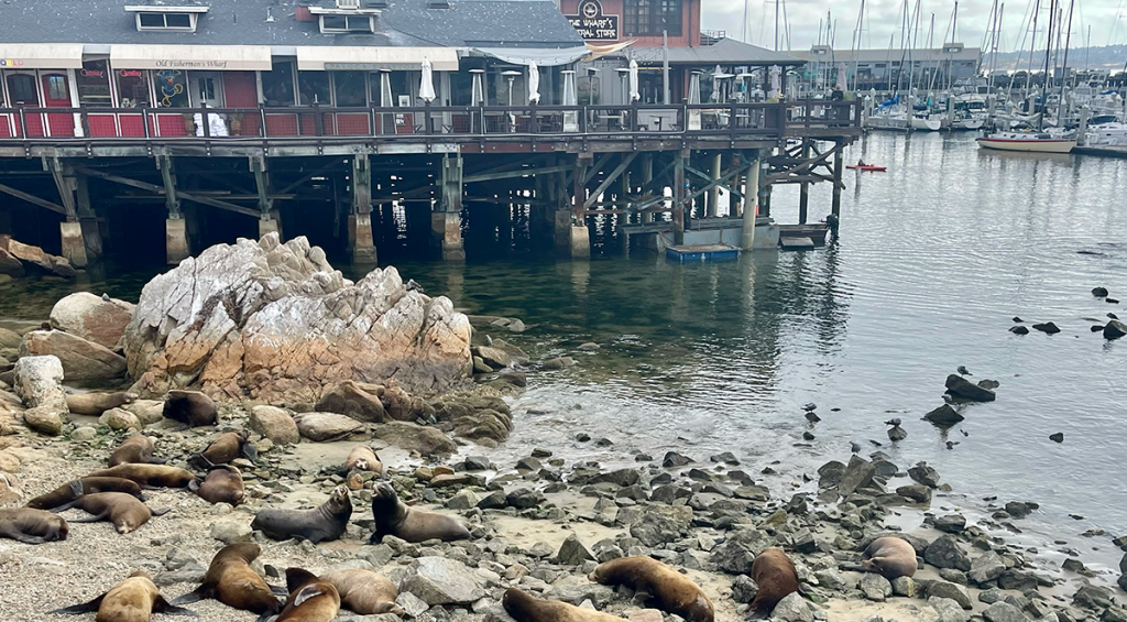 Muelle de Monterrey