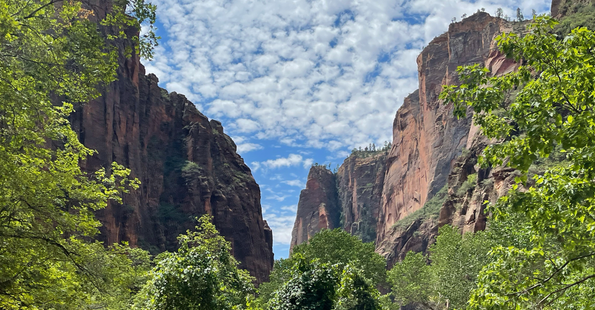 Ruta de Zion Park a Las Vegas