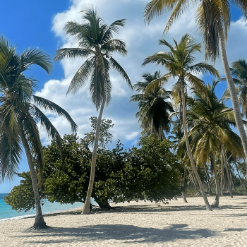 Excursión a la isla Saona desde Punta Cana