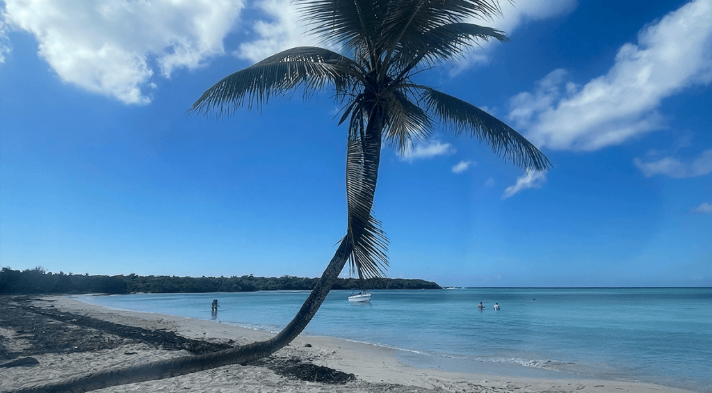 Canto de la Playa en isla Samoa desde Punta Cana