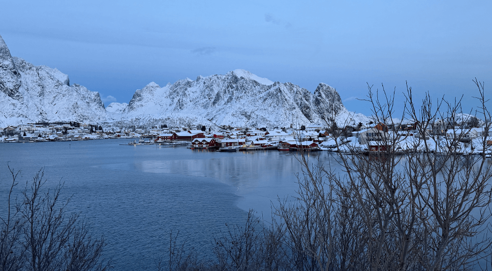 Reine