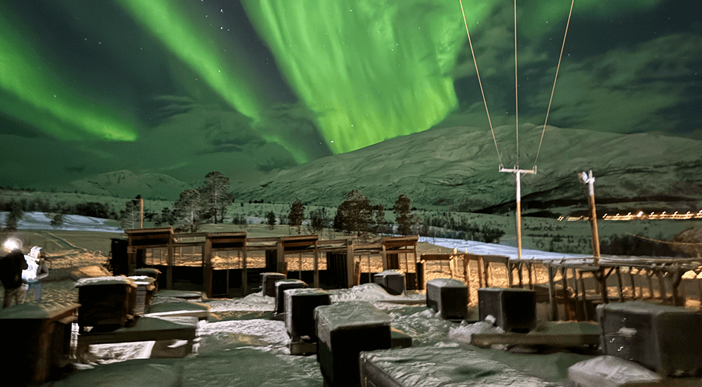 Granja de Huskies con Auroras