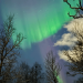 Tromso en invierno: guía completa