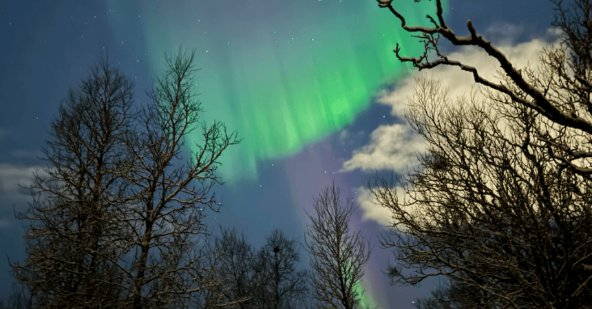 tromso-aurora (1) Tromso en invierno: guía completa