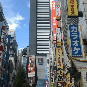 japon-organizar Cómo organizar viaje a Japón paso a paso (ruta fácil + consejos)